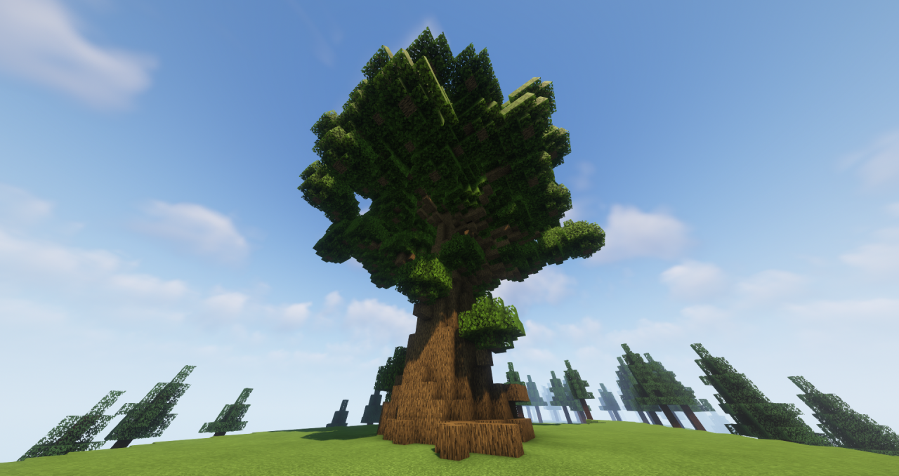 The Giant Tree as seen from below