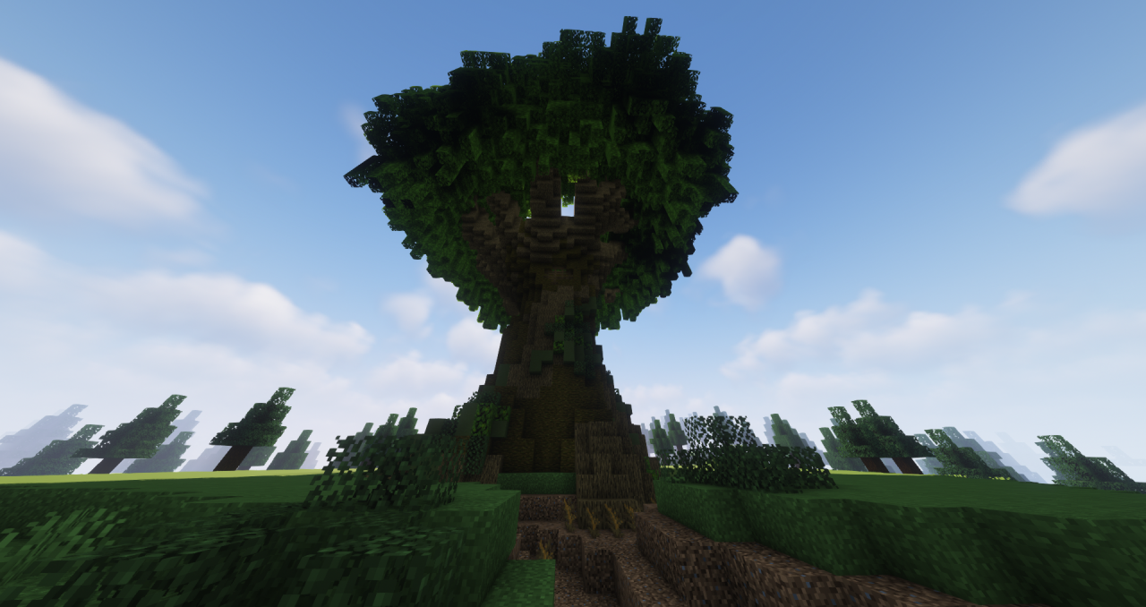 The Giant Tree as seen from below