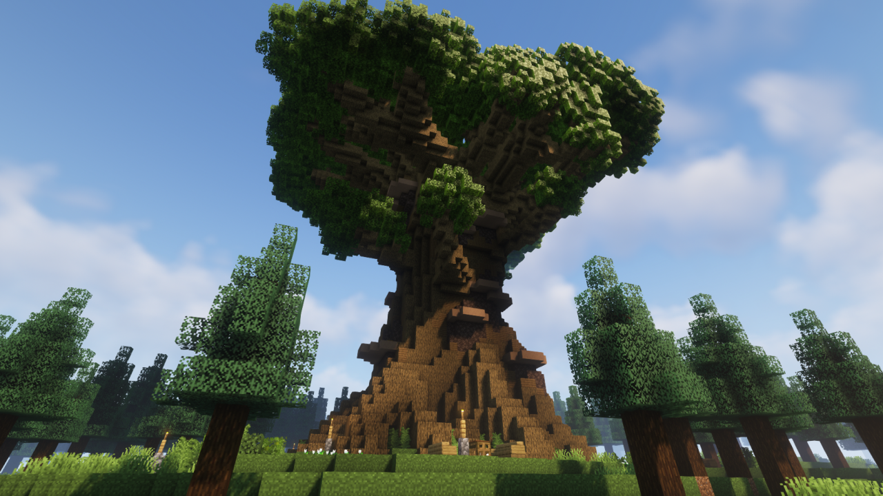 The Giant Tree as seen from below